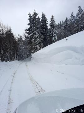 Zimska služba (1)